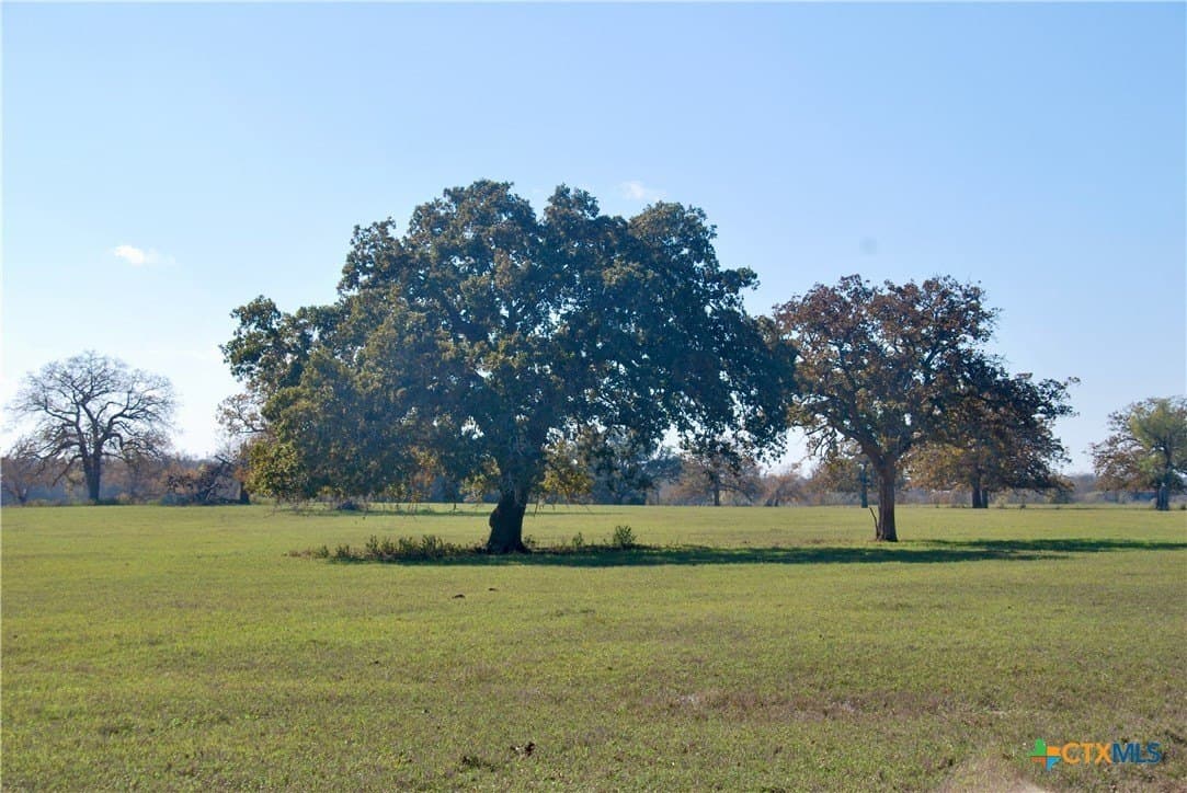 240.47 acres in Gonzales County - photo 2