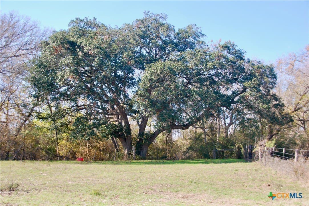 240.47 acres in Gonzales County - photo 23