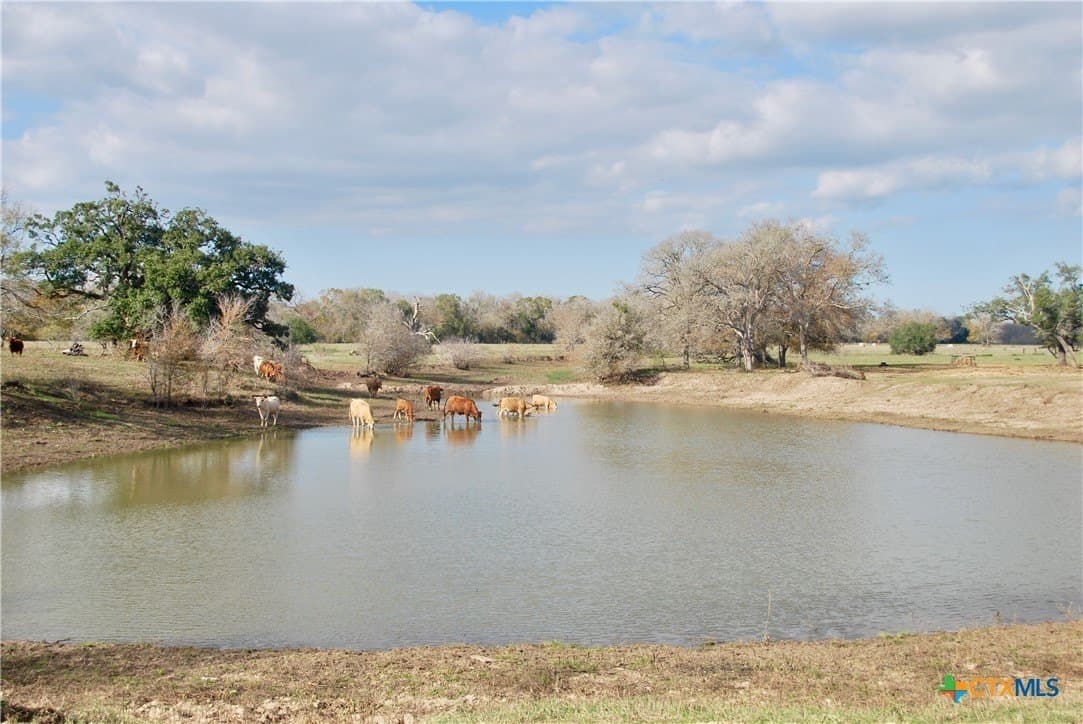 240.47 acres in Gonzales County - photo 7