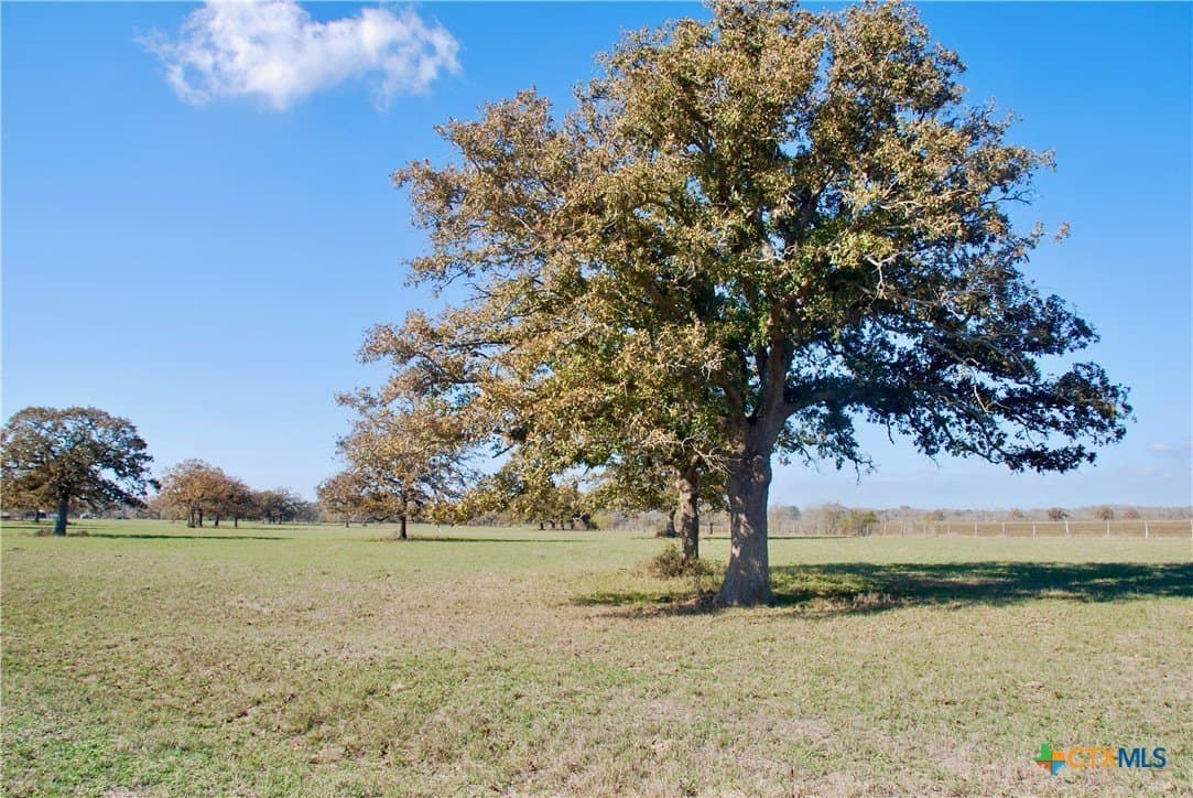 240.47 acres in Gonzales County - photo 3