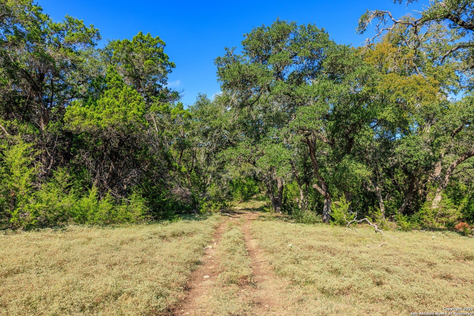 102 acres in Comal County - photo 37