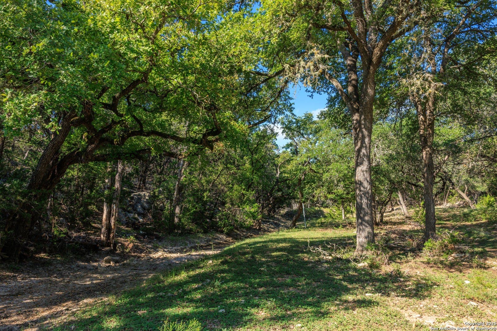 102 acres in Comal County - photo 36