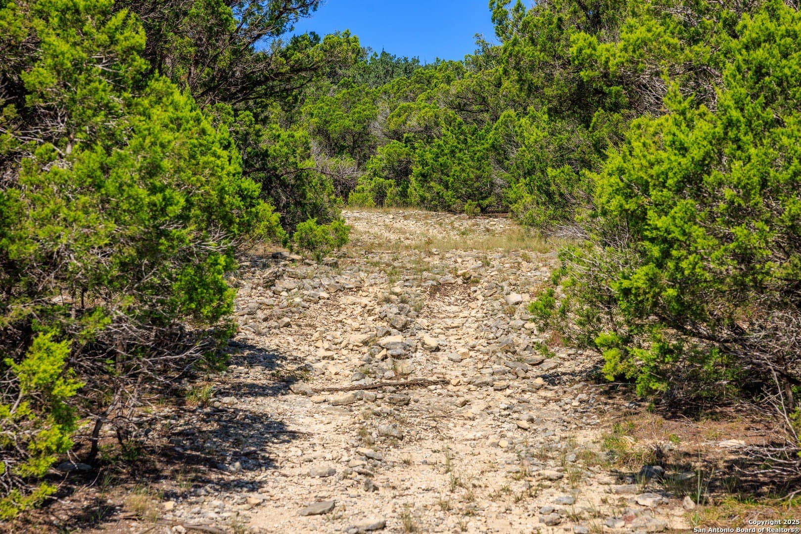 102 acres in Comal County - photo 8