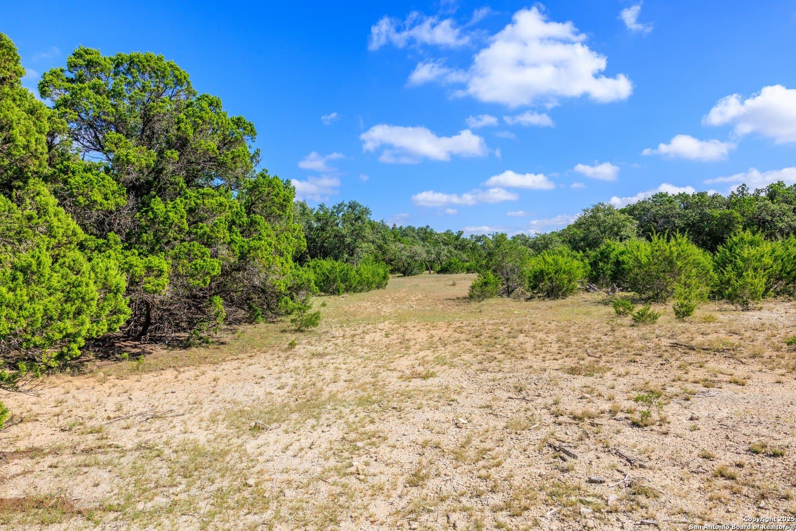 102 acres in Comal County - photo 15