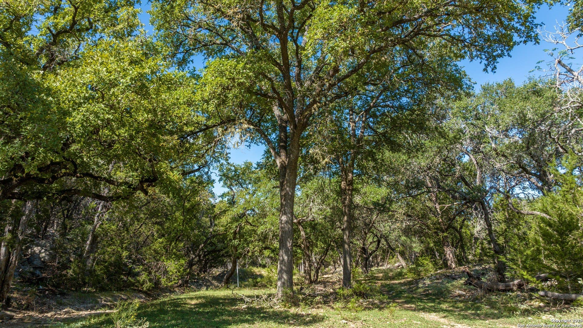 102 acres in Comal County - photo 57