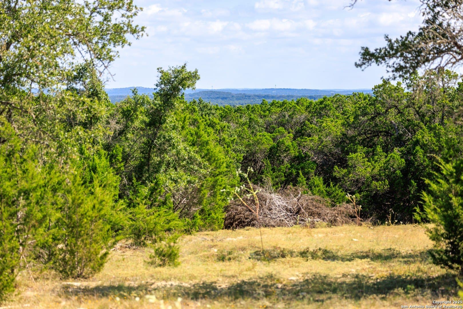 102 acres in Comal County - photo 5