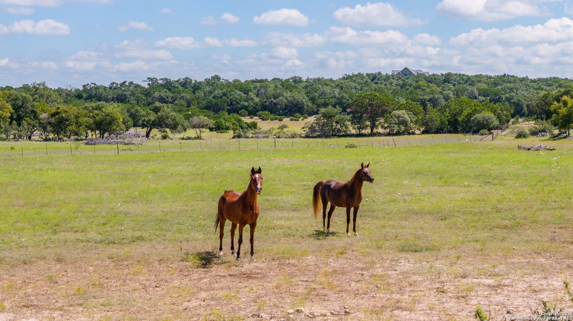 102 acres in Comal County - photo 49