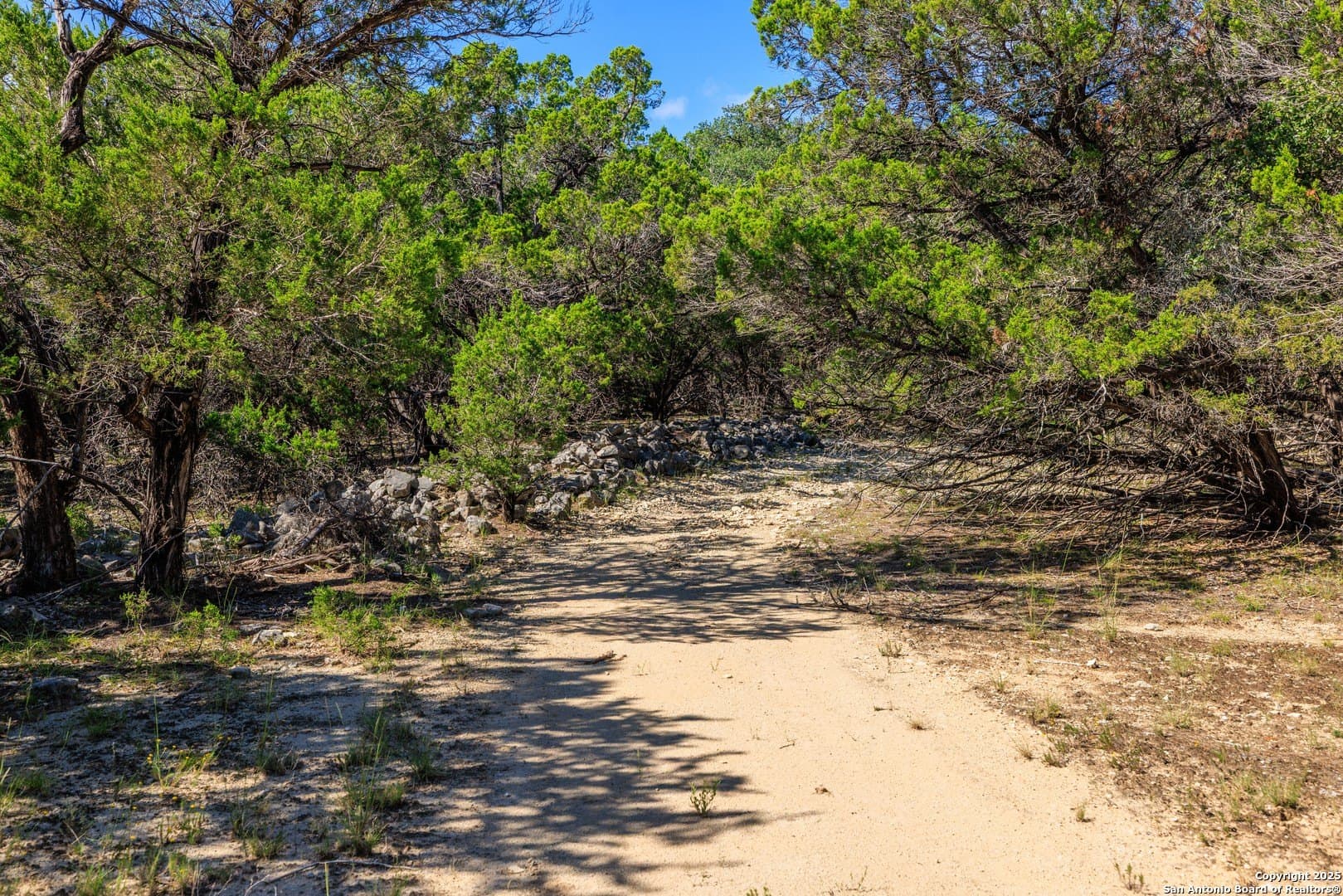 102 acres in Comal County - photo 20