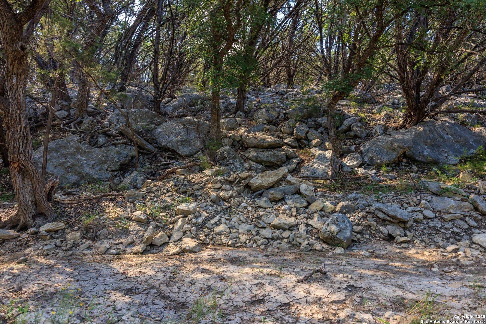 102 acres in Comal County - photo 32