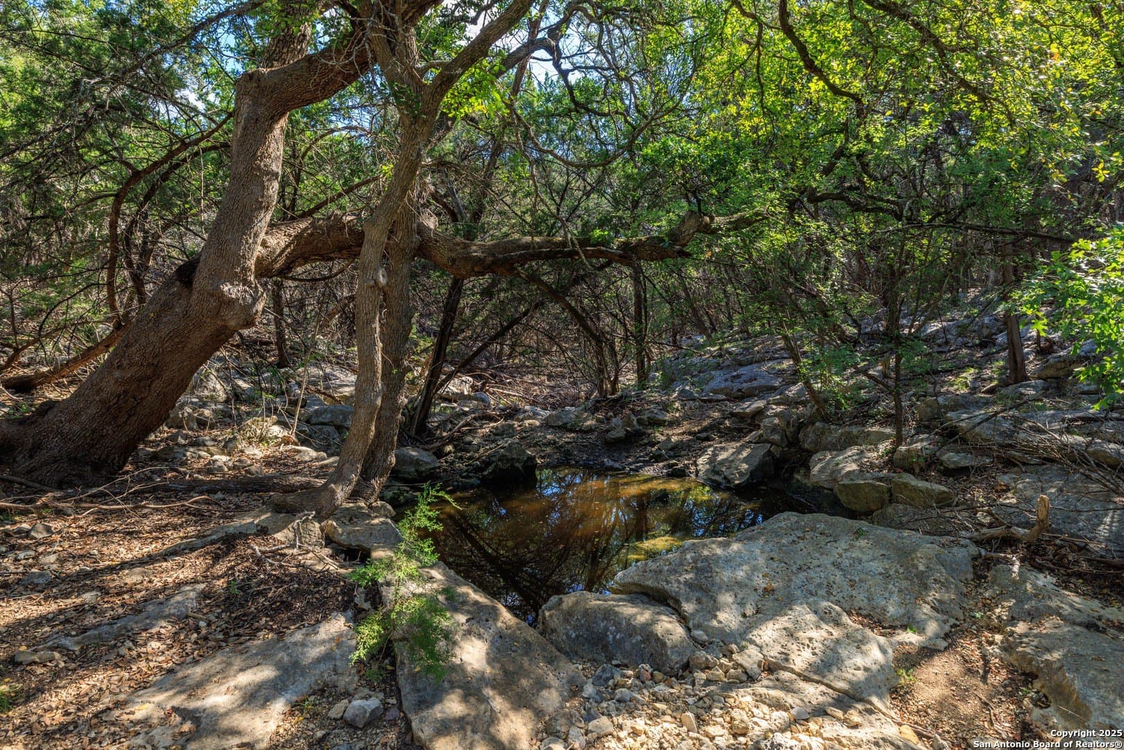 102 acres in Comal County - photo 31