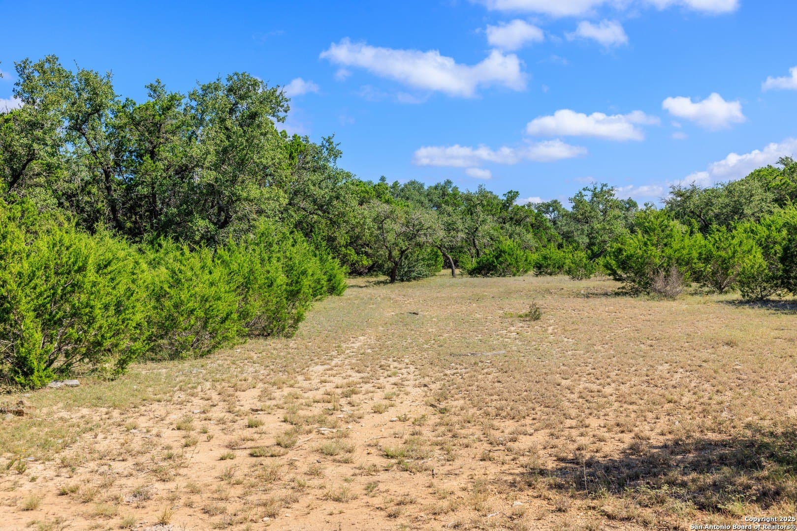 102 acres in Comal County - photo 14