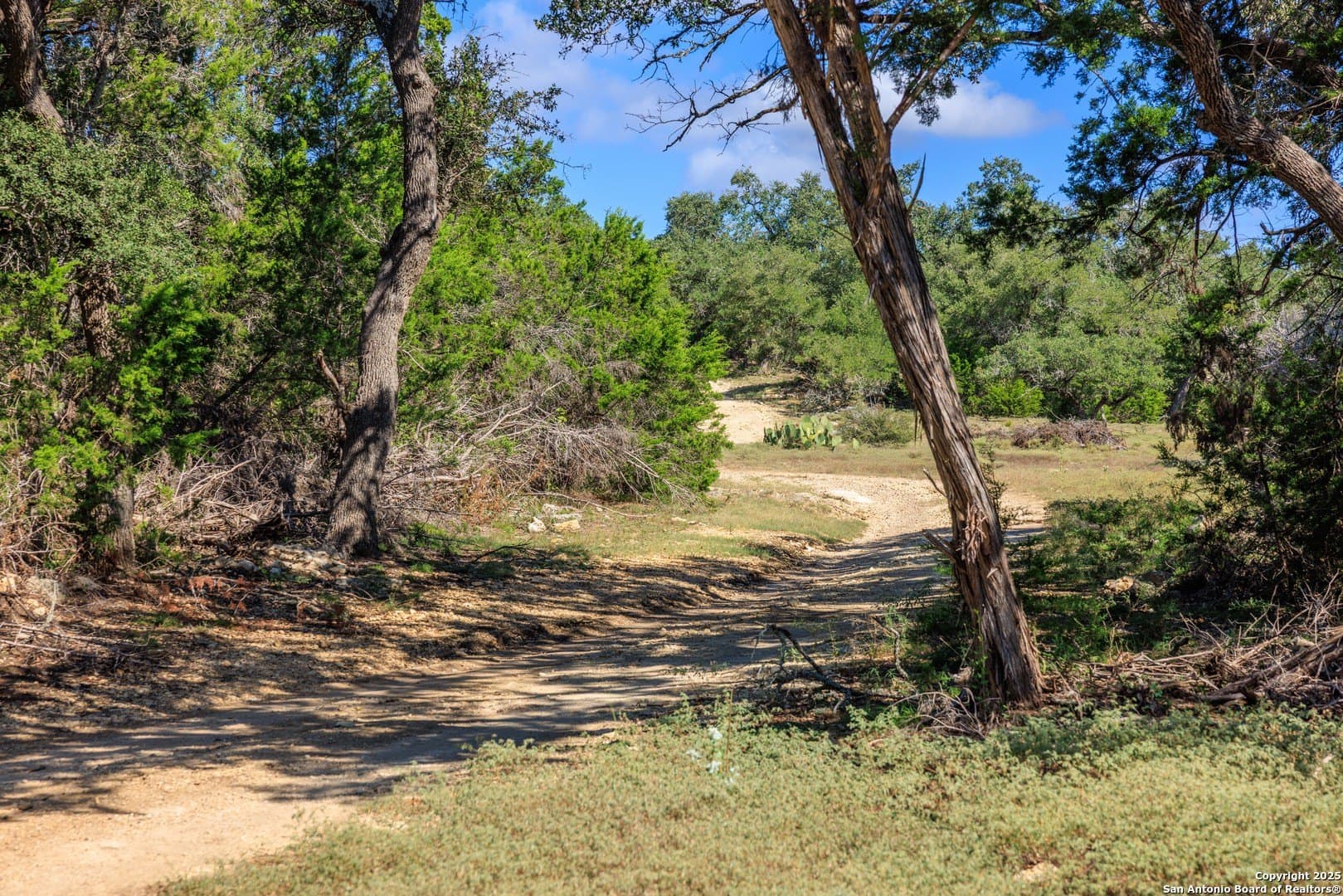 102 acres in Comal County - photo 27