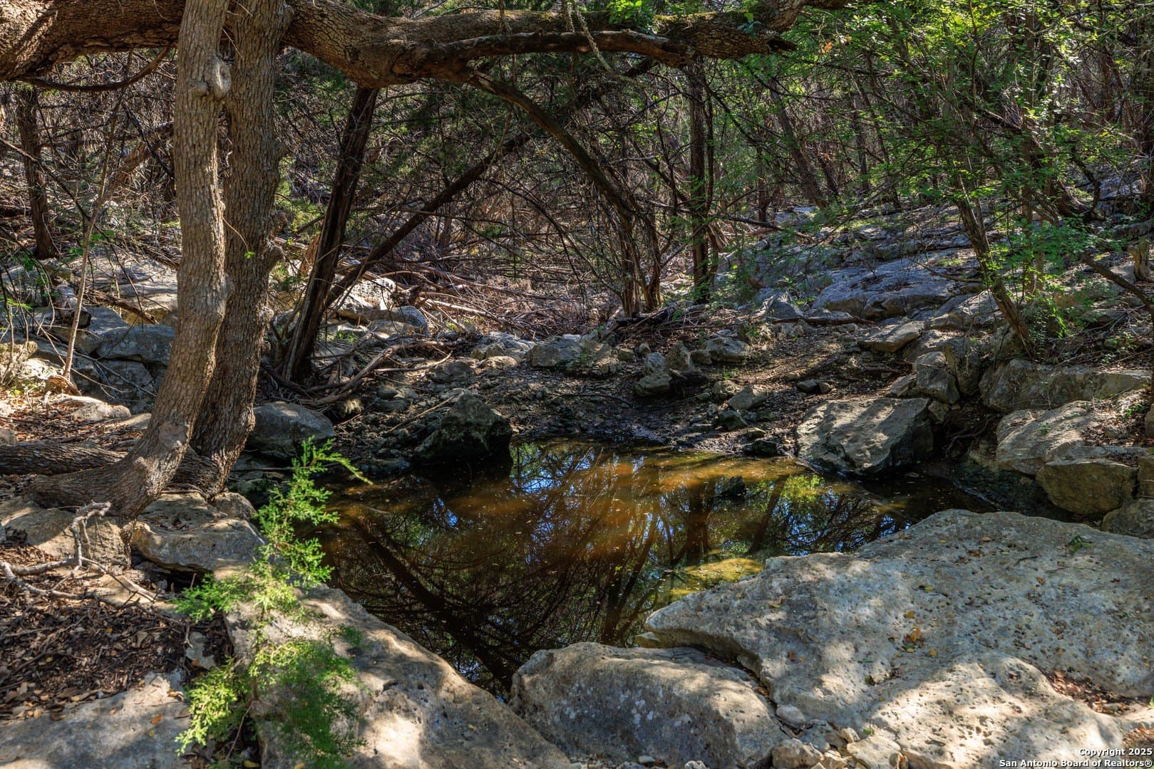 102 acres in Comal County - photo 30