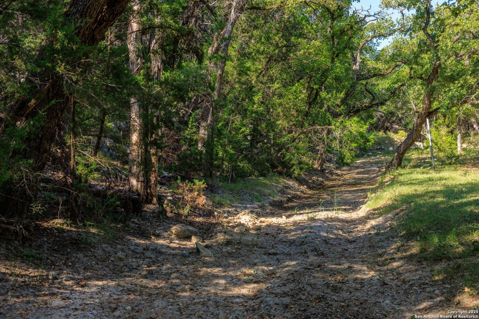 102 acres in Comal County - photo 33