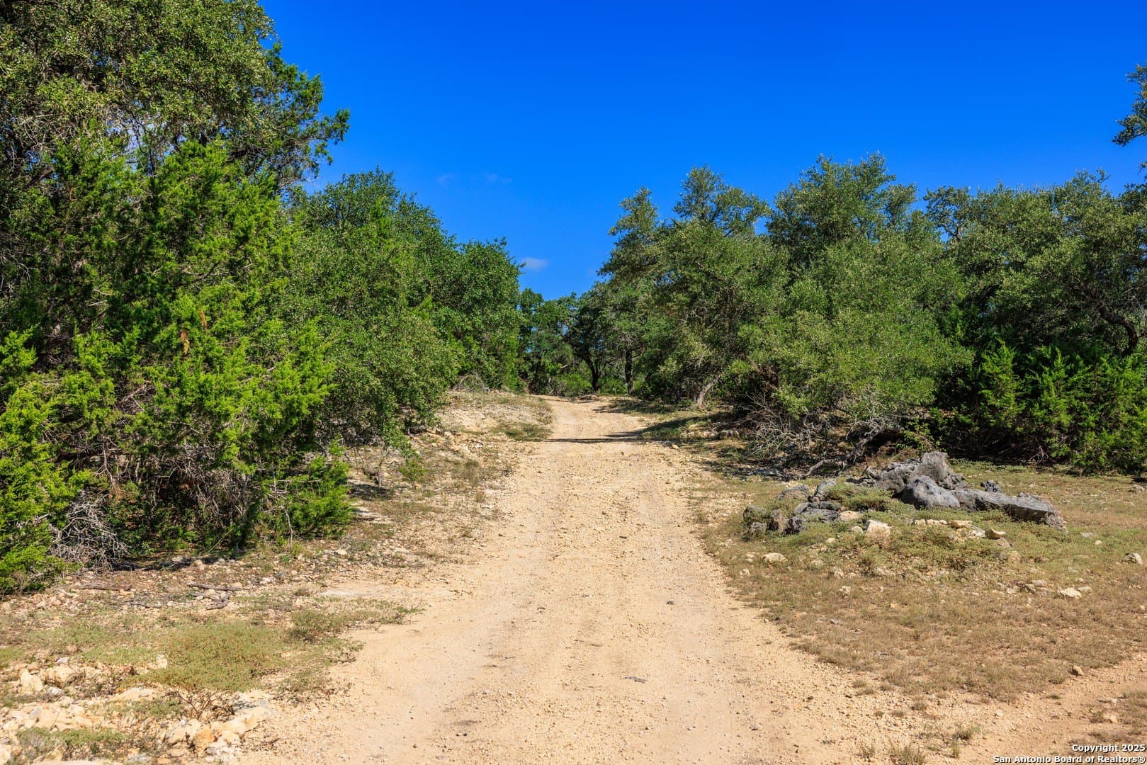 102 acres in Comal County - photo 25