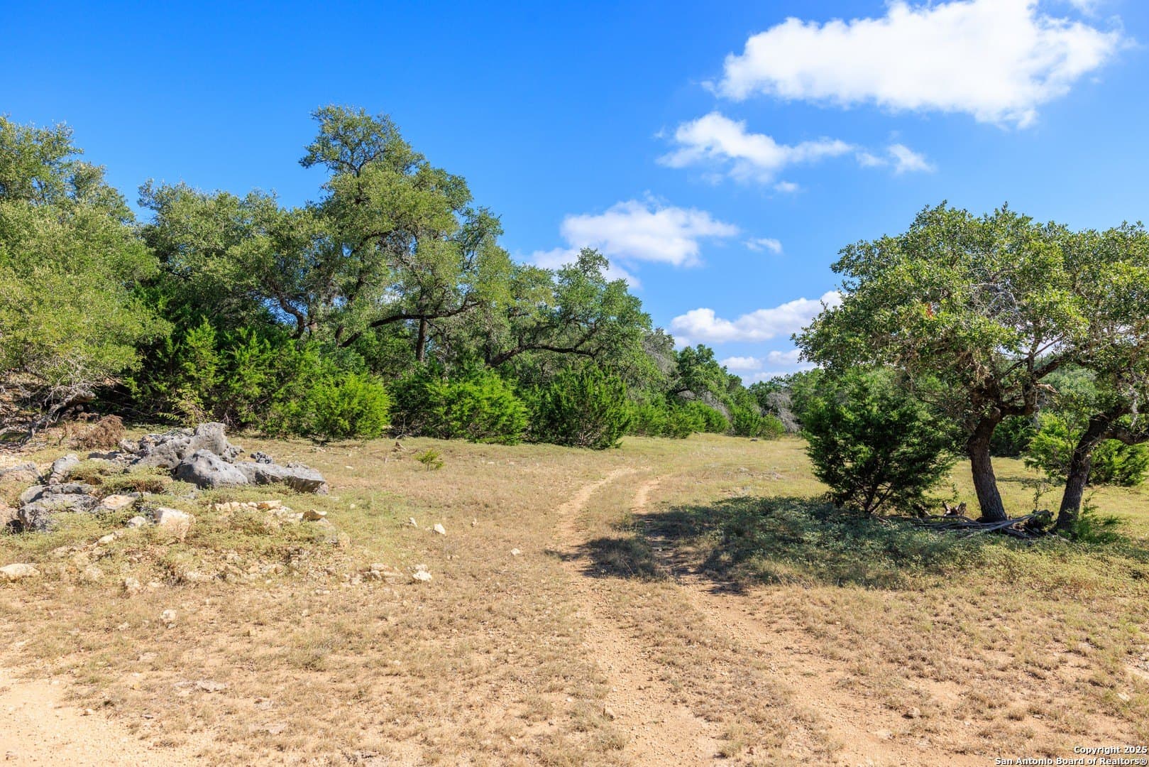 102 acres in Comal County - photo 24