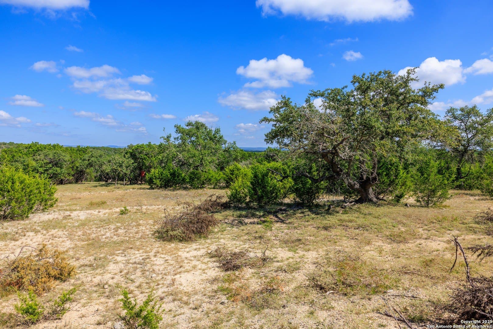 102 acres in Comal County - photo 6