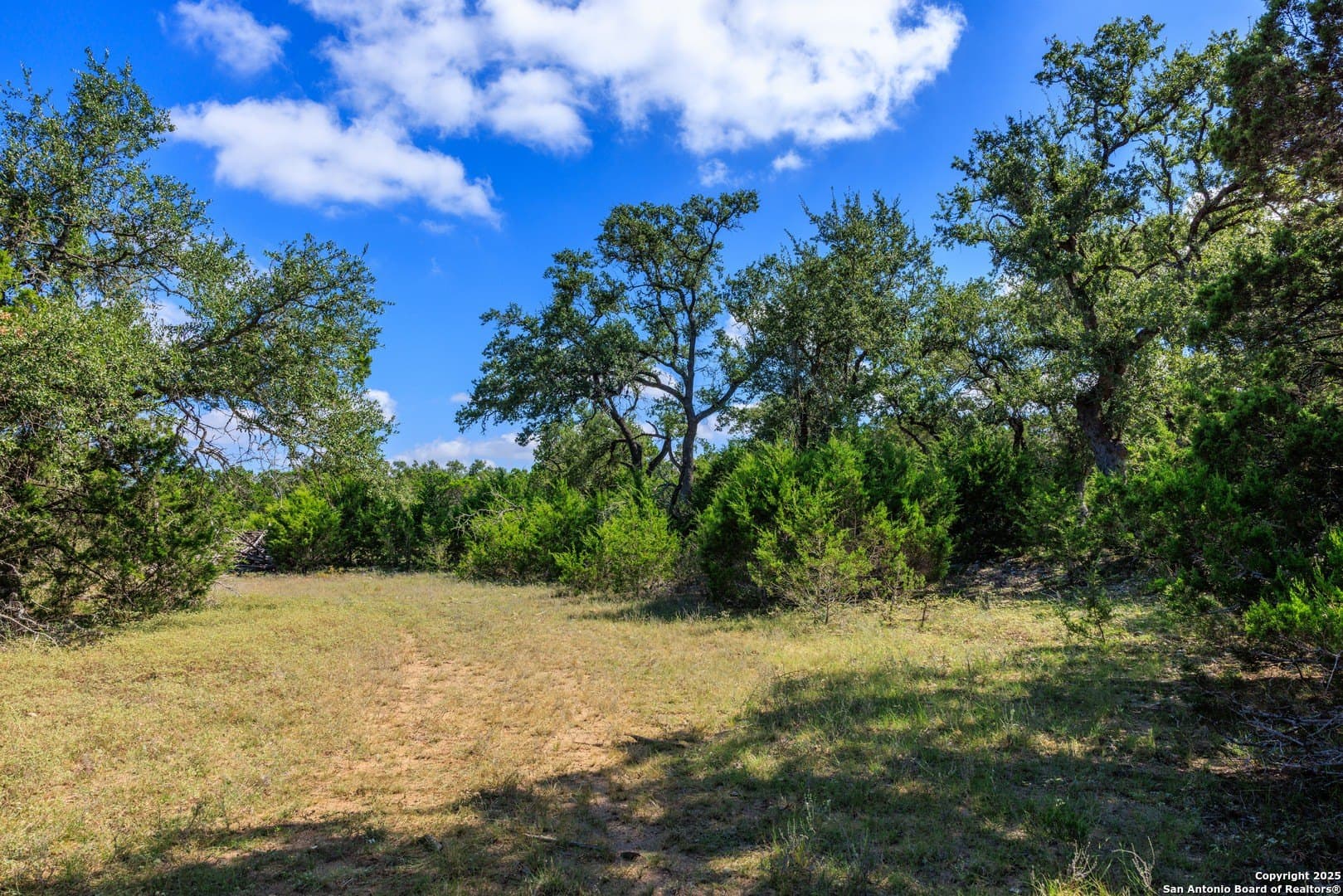 102 acres in Comal County - photo 11