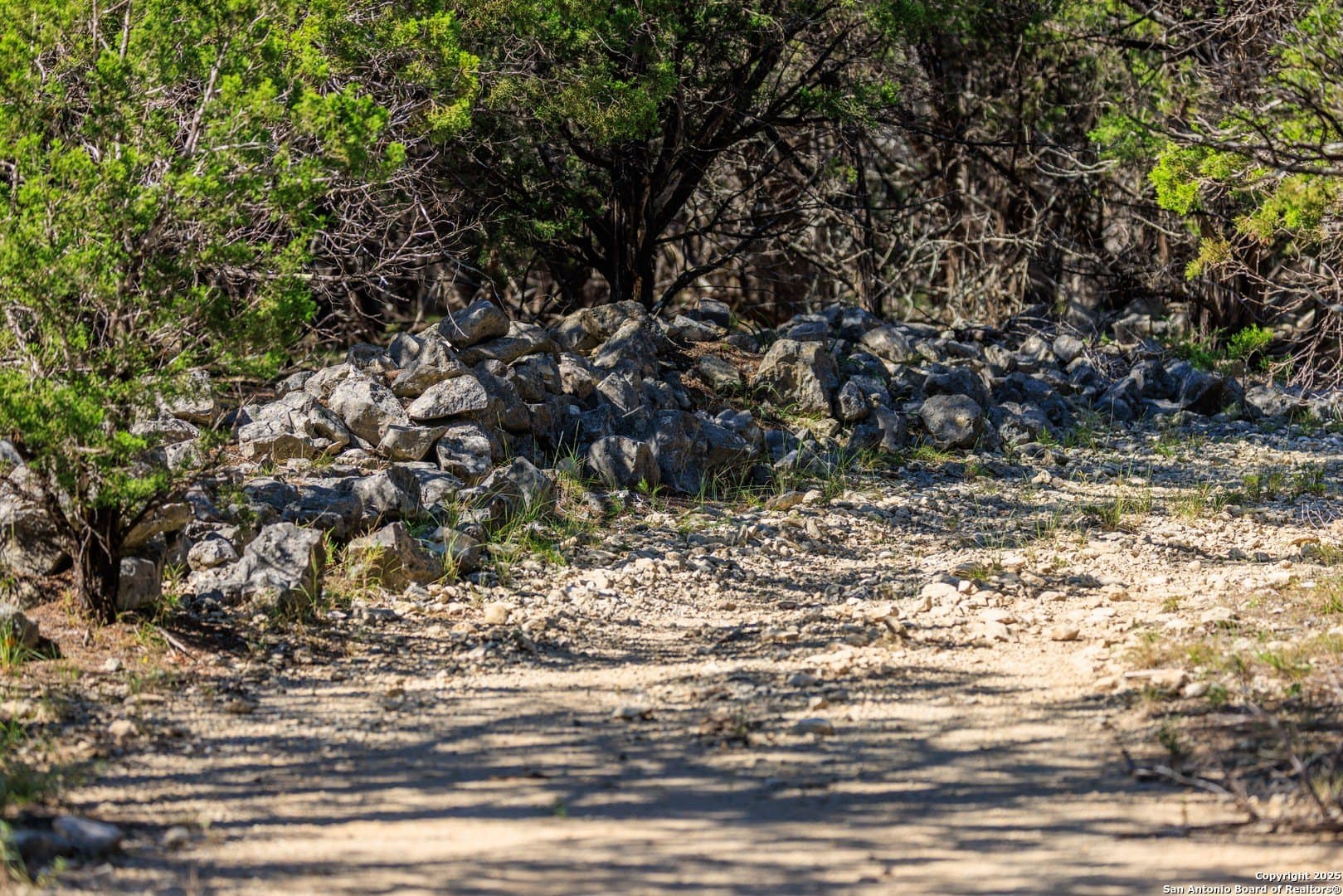 102 acres in Comal County - photo 18