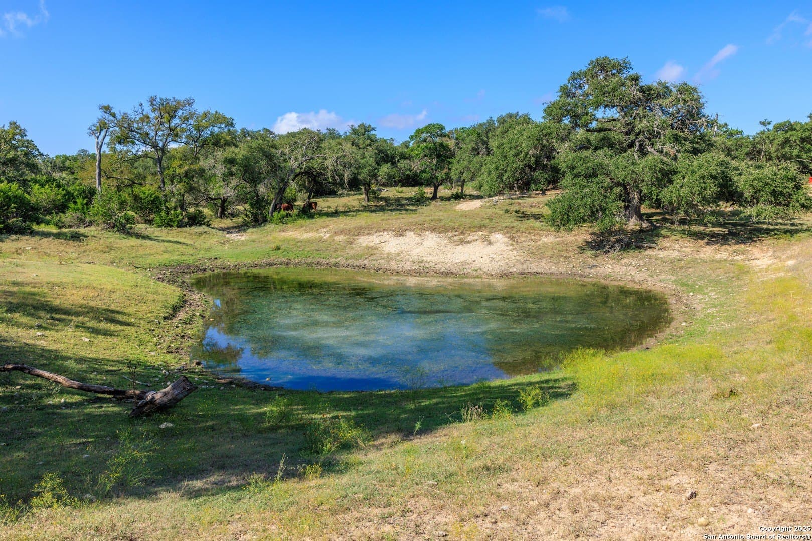 102 acres in Comal County - photo 41