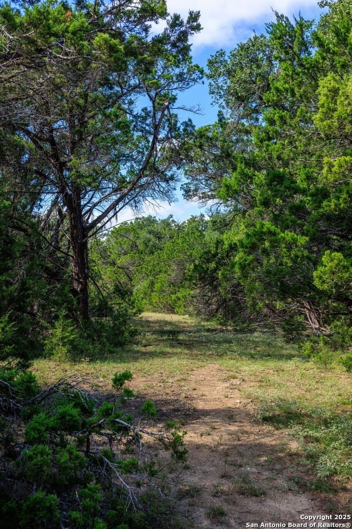 102 acres in Comal County - photo 9