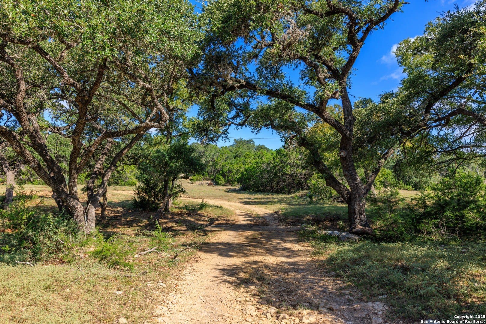 102 acres in Comal County - photo 39