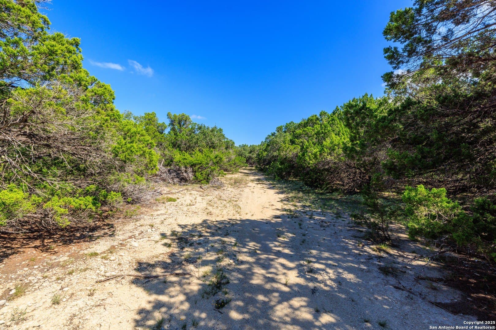 102 acres in Comal County - photo 21