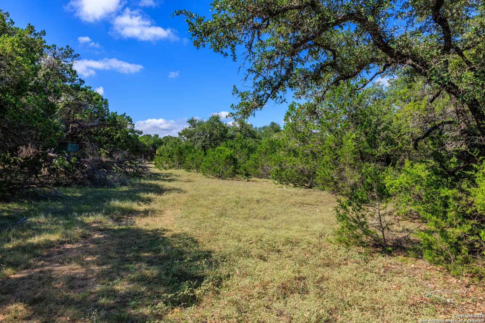 102 acres in Comal County - photo 13