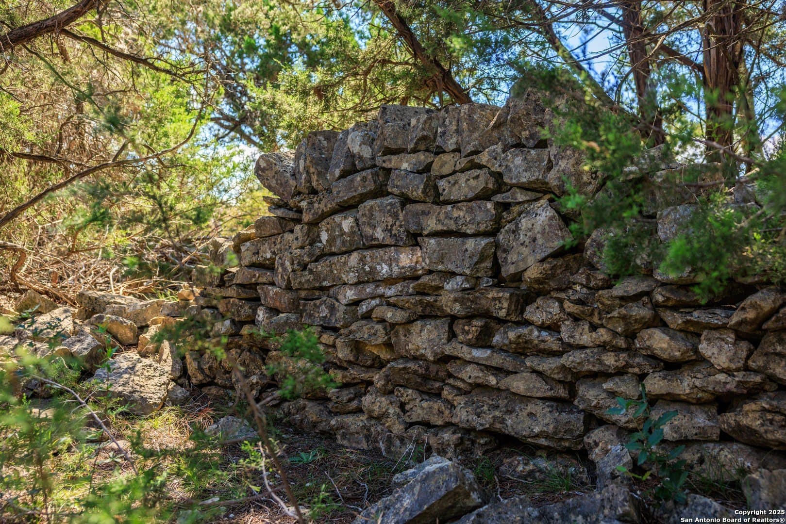 102 acres in Comal County - photo 19
