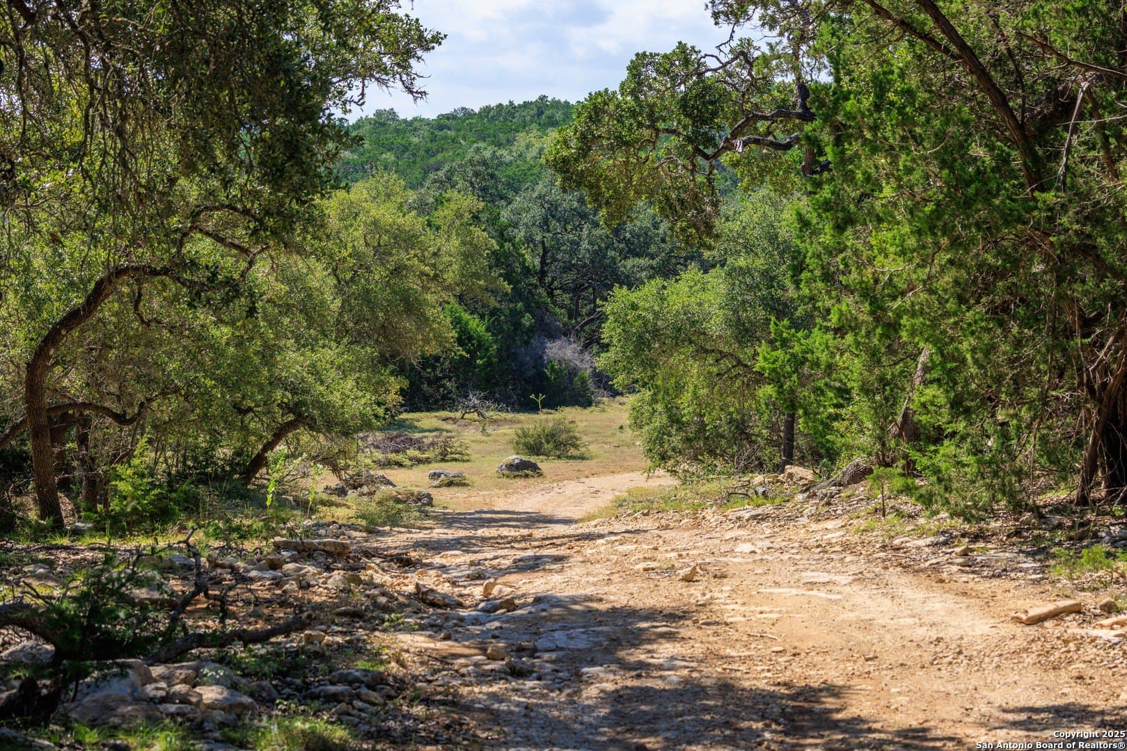 102 acres in Comal County - photo 16