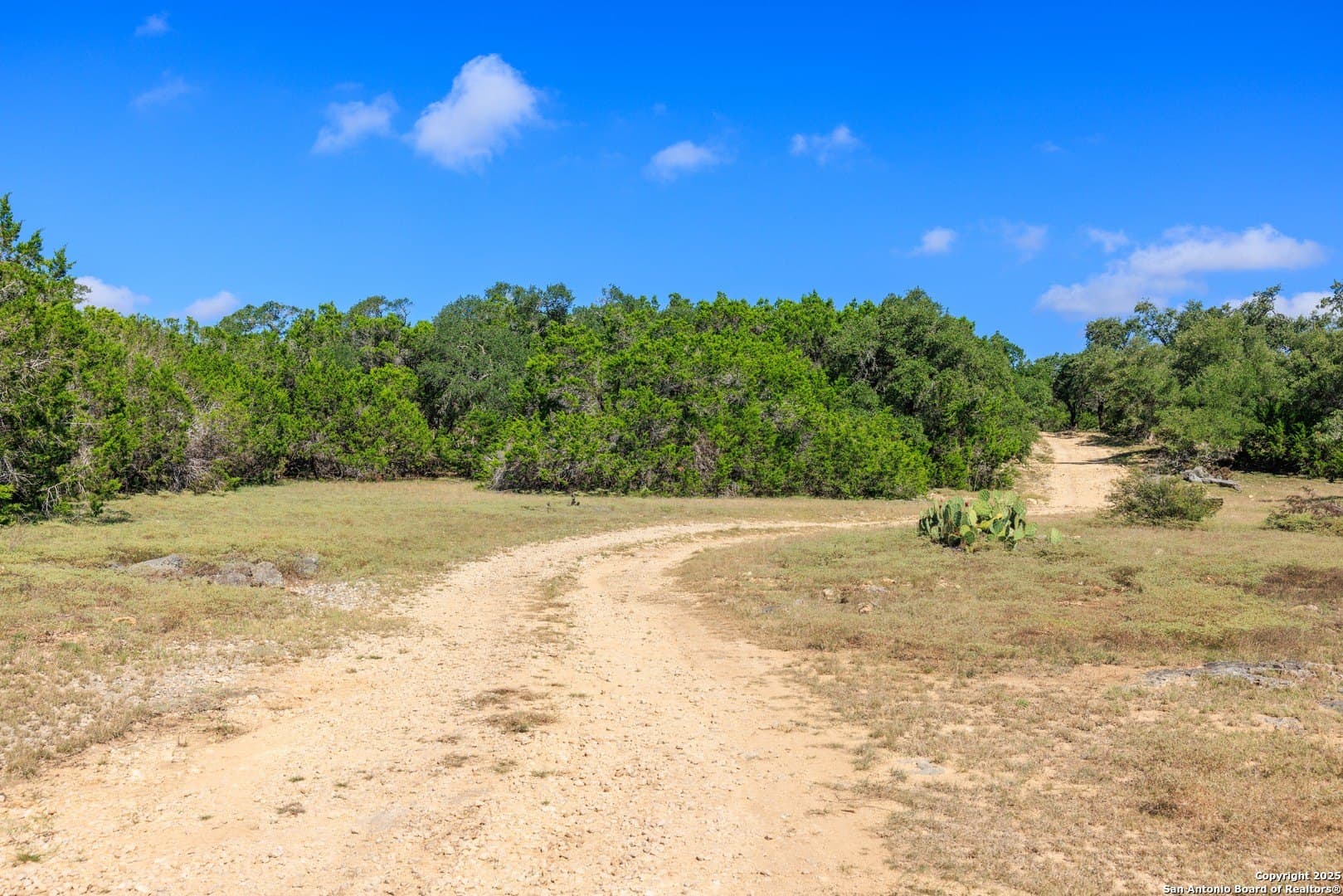 102 acres in Comal County - photo 26