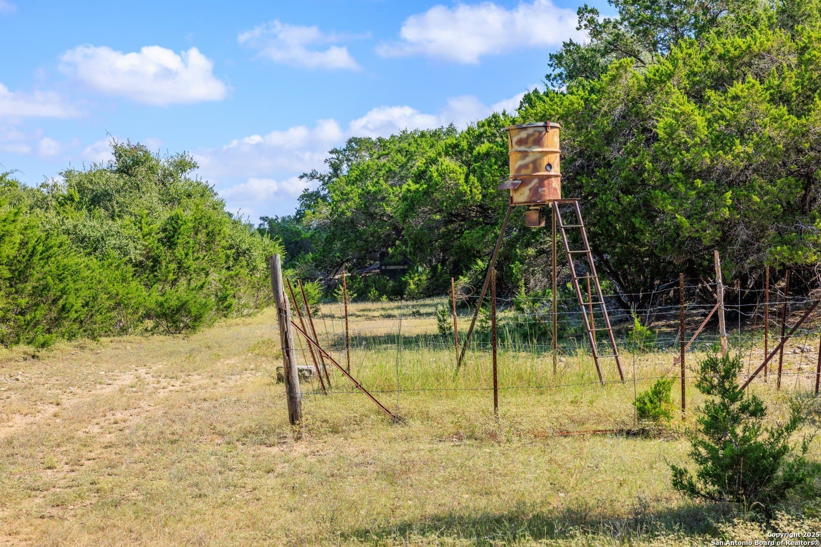 102 acres in Comal County - photo 10