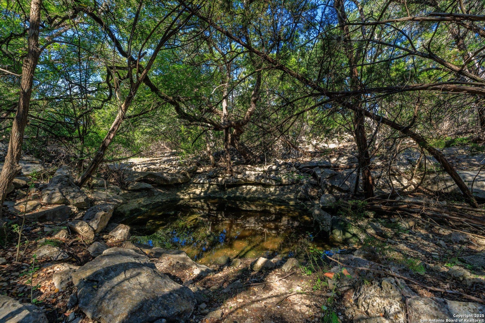 102 acres in Comal County - photo 29