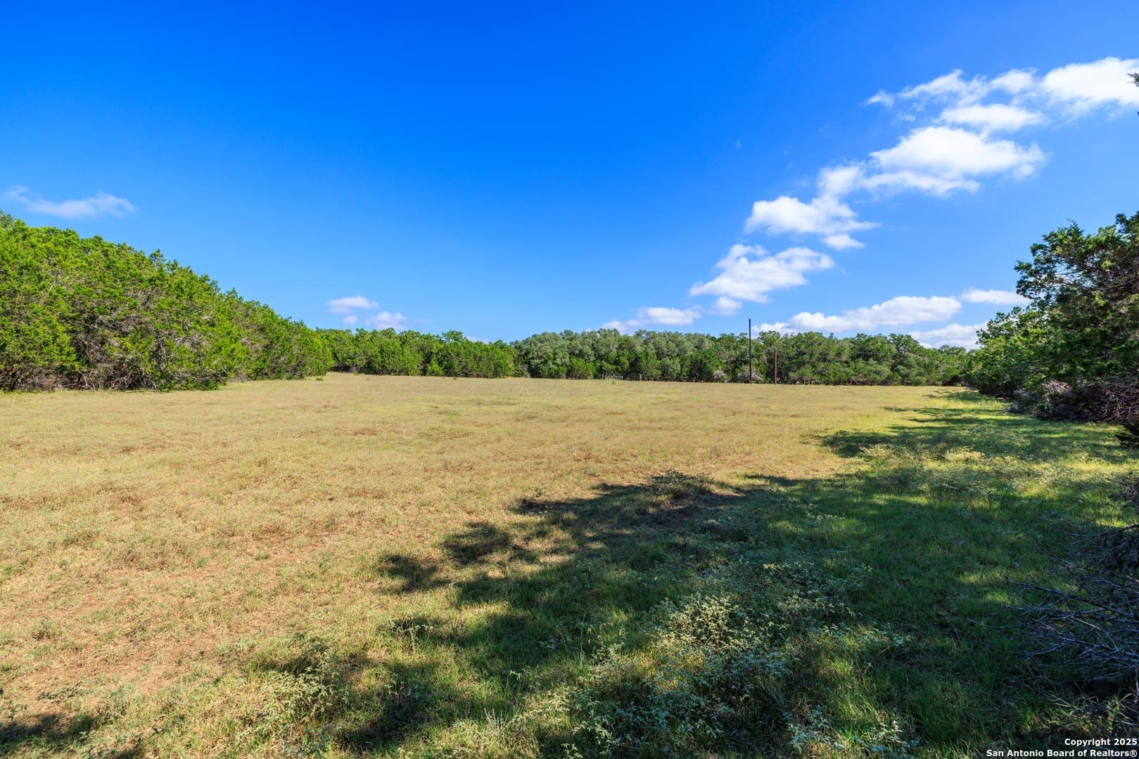 102 acres in Comal County - photo 23