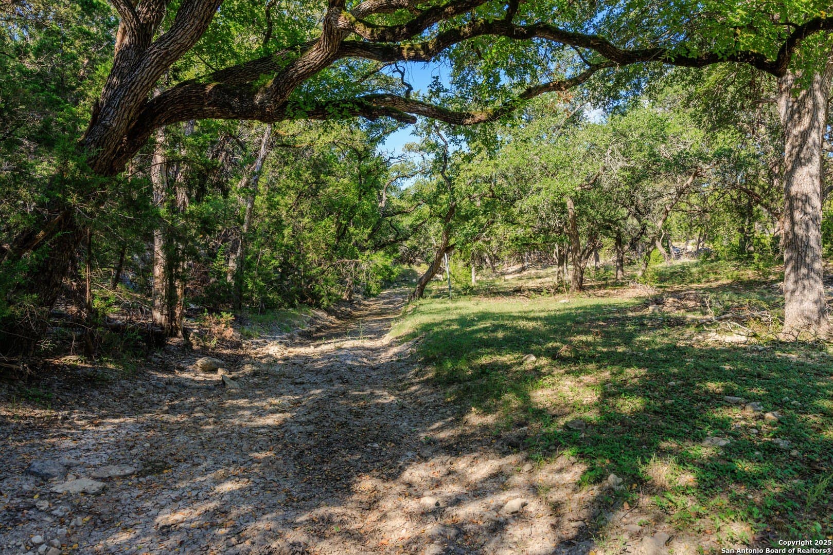102 acres in Comal County - photo 34