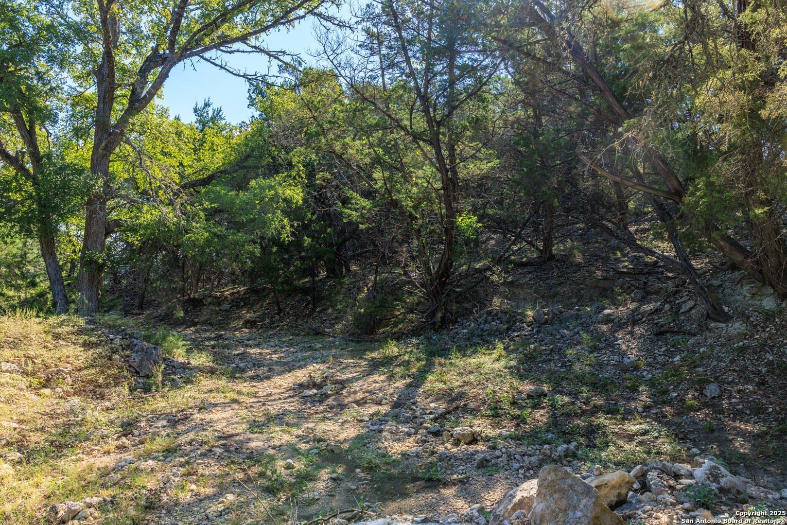 102 acres in Comal County - photo 35