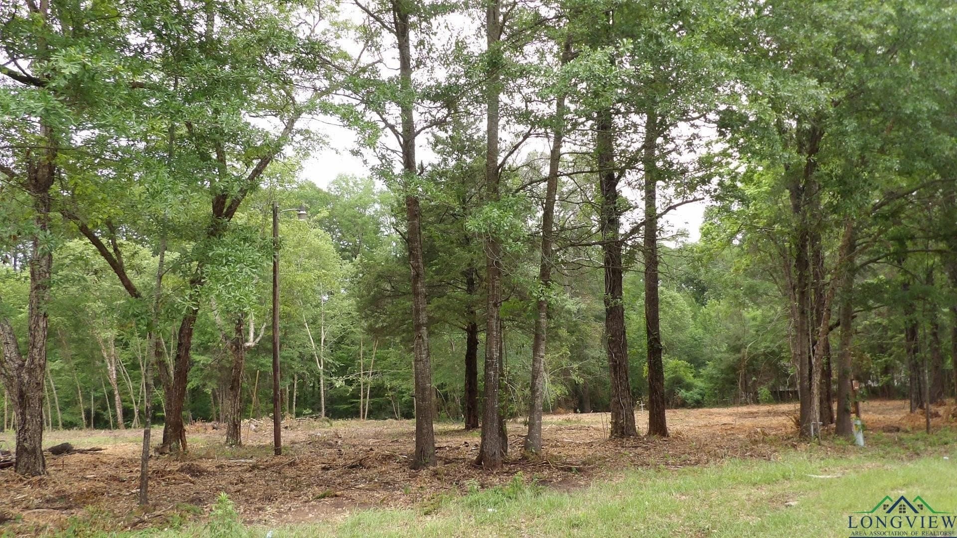 18 acres in Harrison County - photo 3