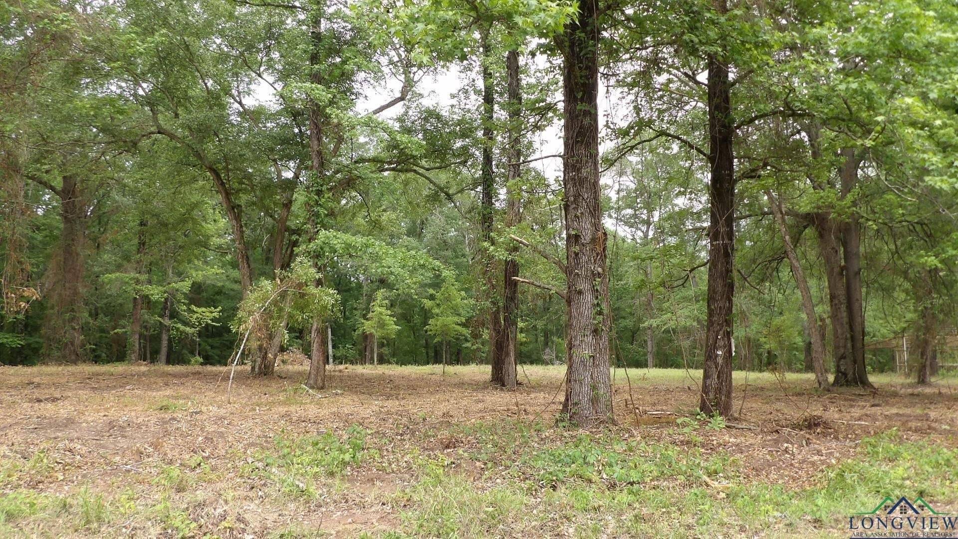 18 acres in Harrison County - photo 2