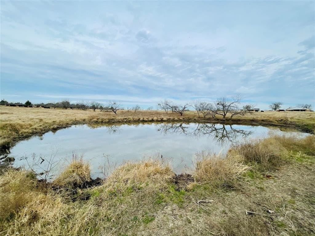 97.93 acres in Navarro County - photo 15