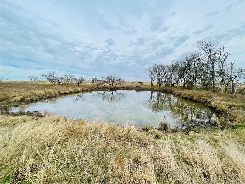 97.93 acres in Navarro County - photo 6