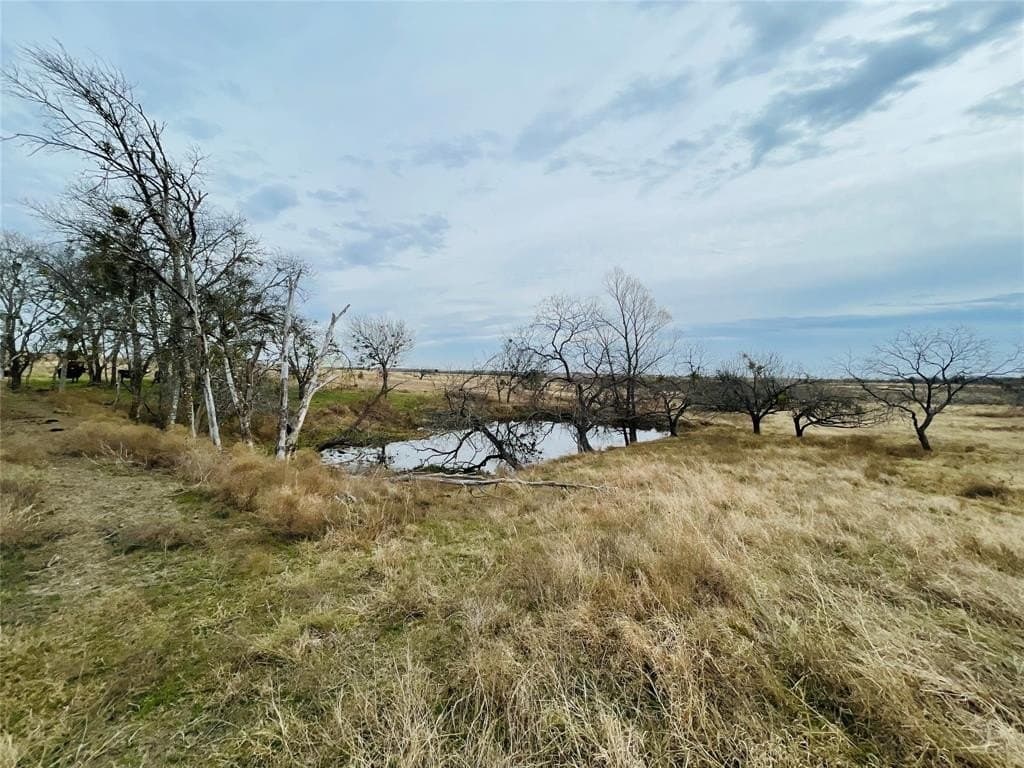 97.93 acres in Navarro County - photo 2