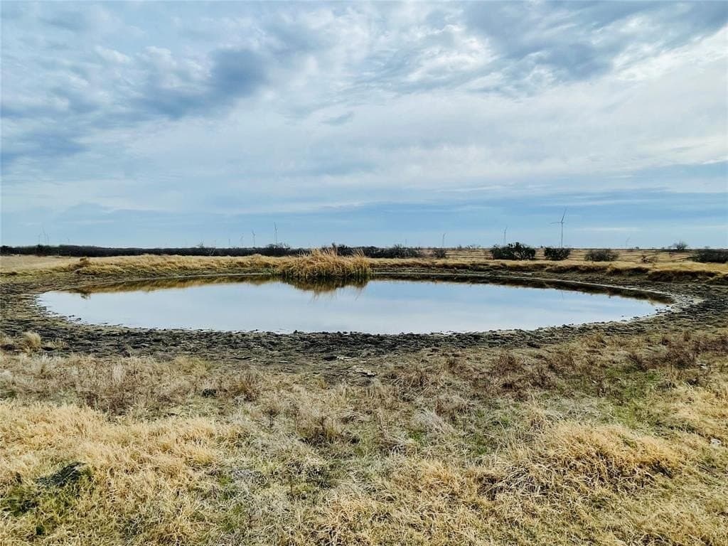 97.93 acres in Navarro County - photo 14