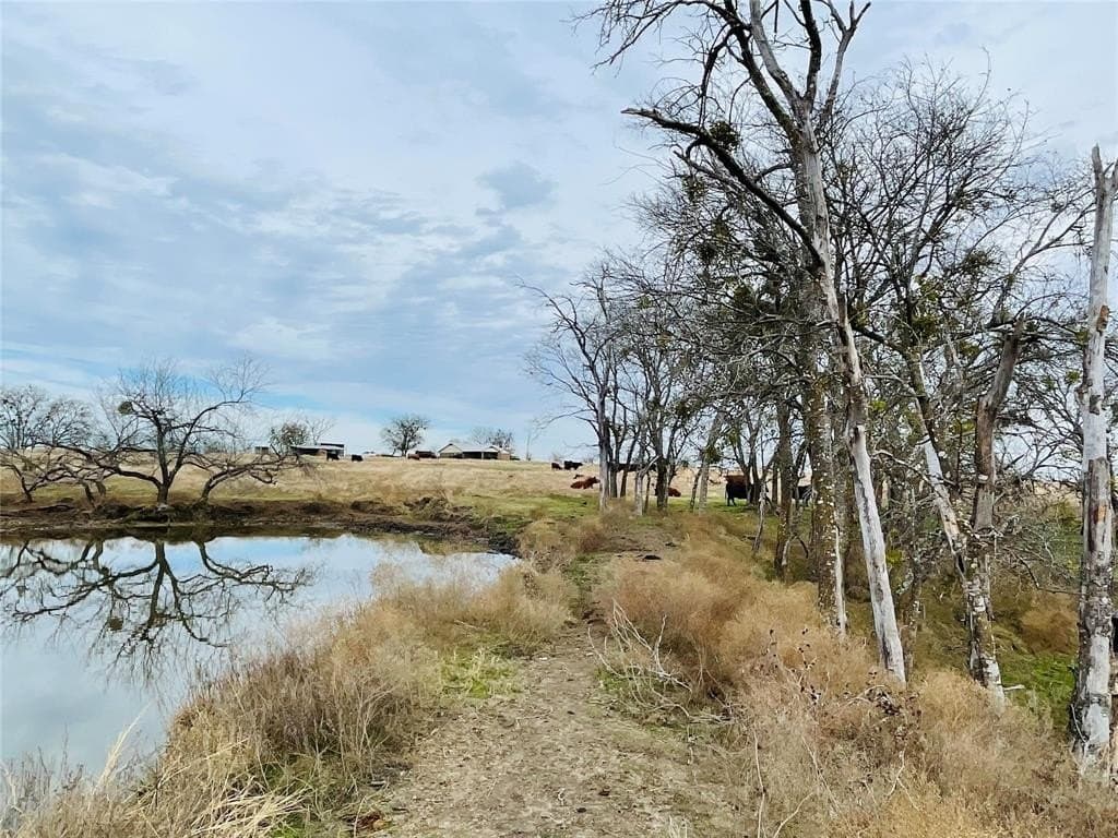 97.93 acres in Navarro County - photo 3