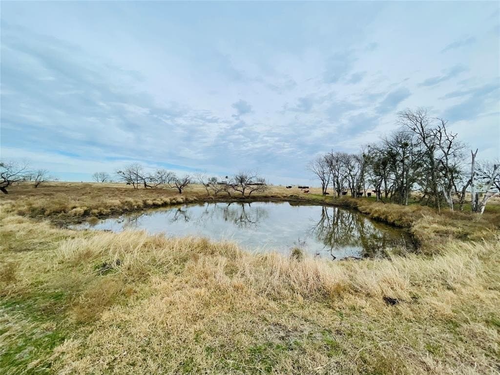 97.93 acres in Navarro County - photo 7