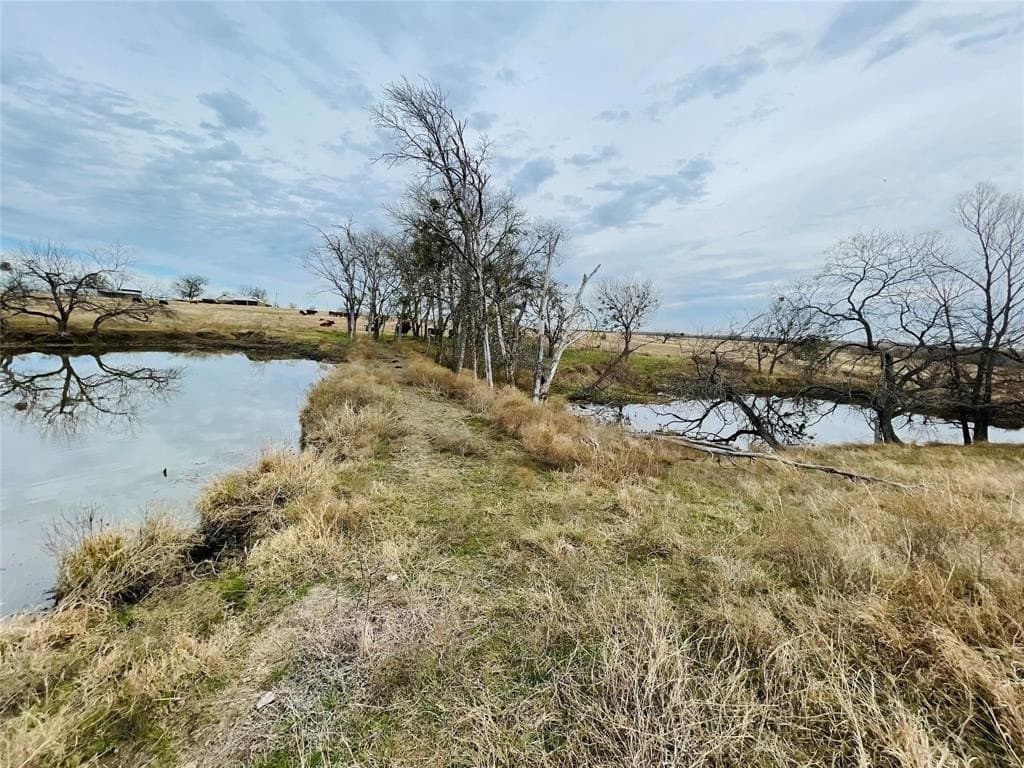 97.93 acres in Navarro County - photo 5