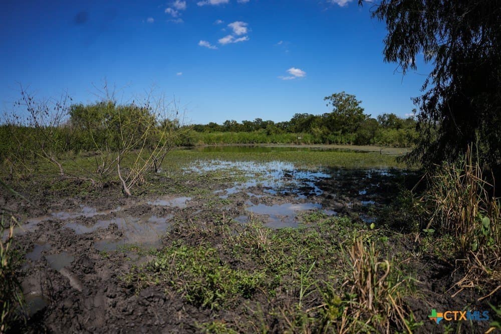 18.94 acres in Milam County - photo 9
