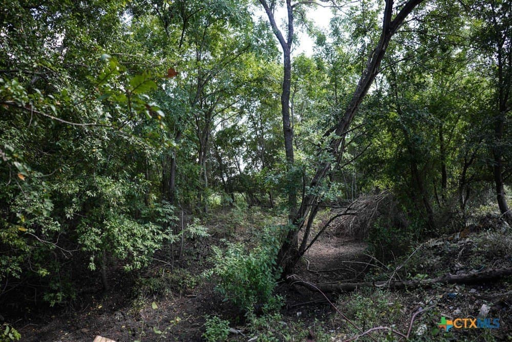 18.94 acres in Milam County - photo 22