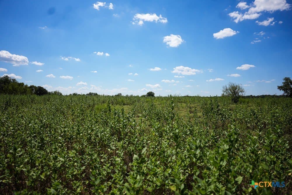 18.94 acres in Milam County - photo 21