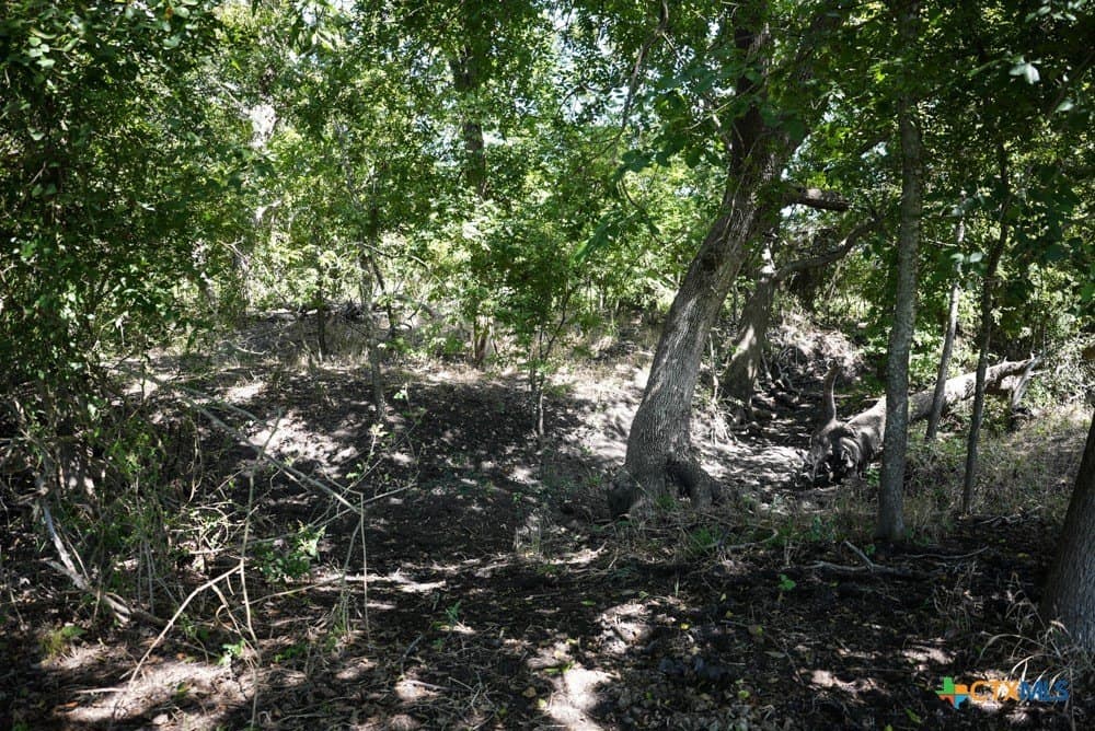 18.94 acres in Milam County - photo 20