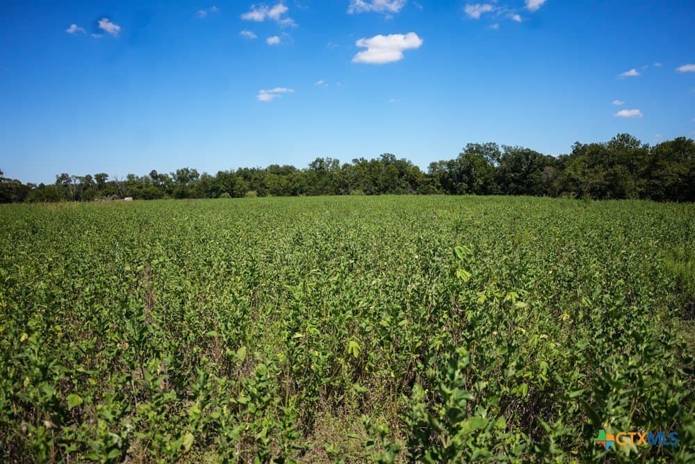 18.94 acres in Milam County - photo 11